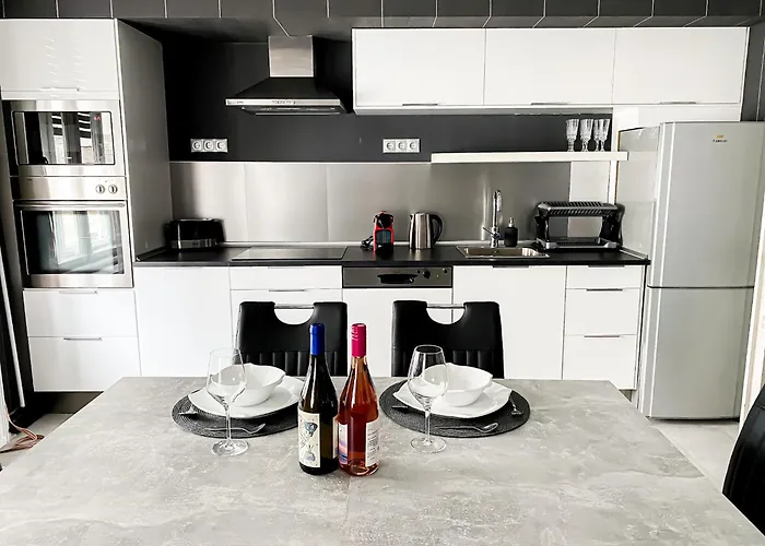 Unique And Spacious Apartment In Downtown